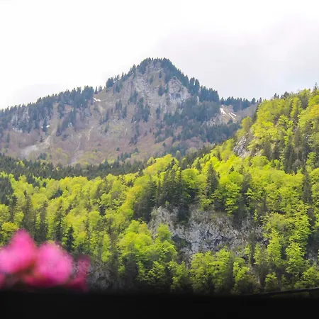 Bauernhof Auerhof Ferienwohnung Aschau im Chiemgau Esterno foto